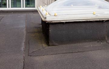 disadvantages of Bedlam Street flat roofs