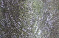 Bedlam Street fibreglass roof work